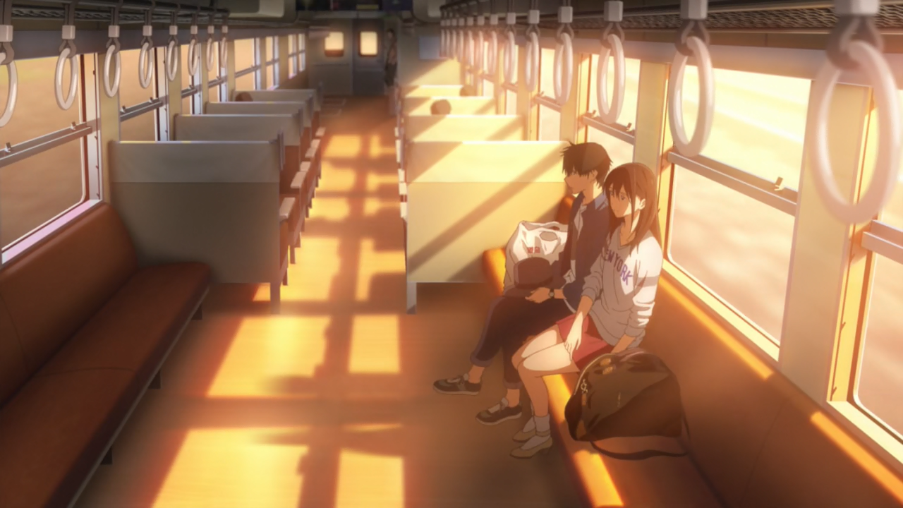 Kimi no Suizou wo Tabetai (Anarchy Subs)